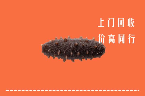 大观区回收海参