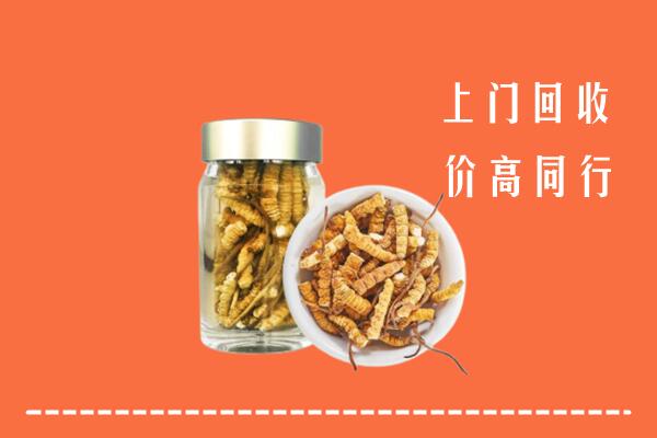 大观区回收冬虫夏草