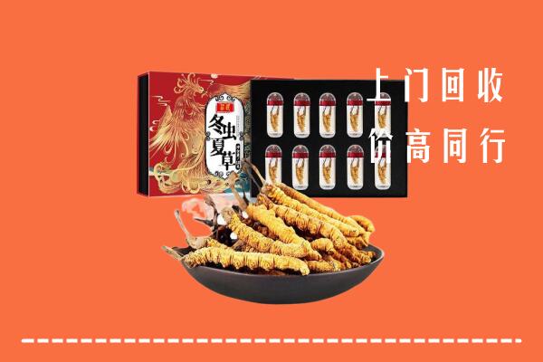 大观区回收虫草
